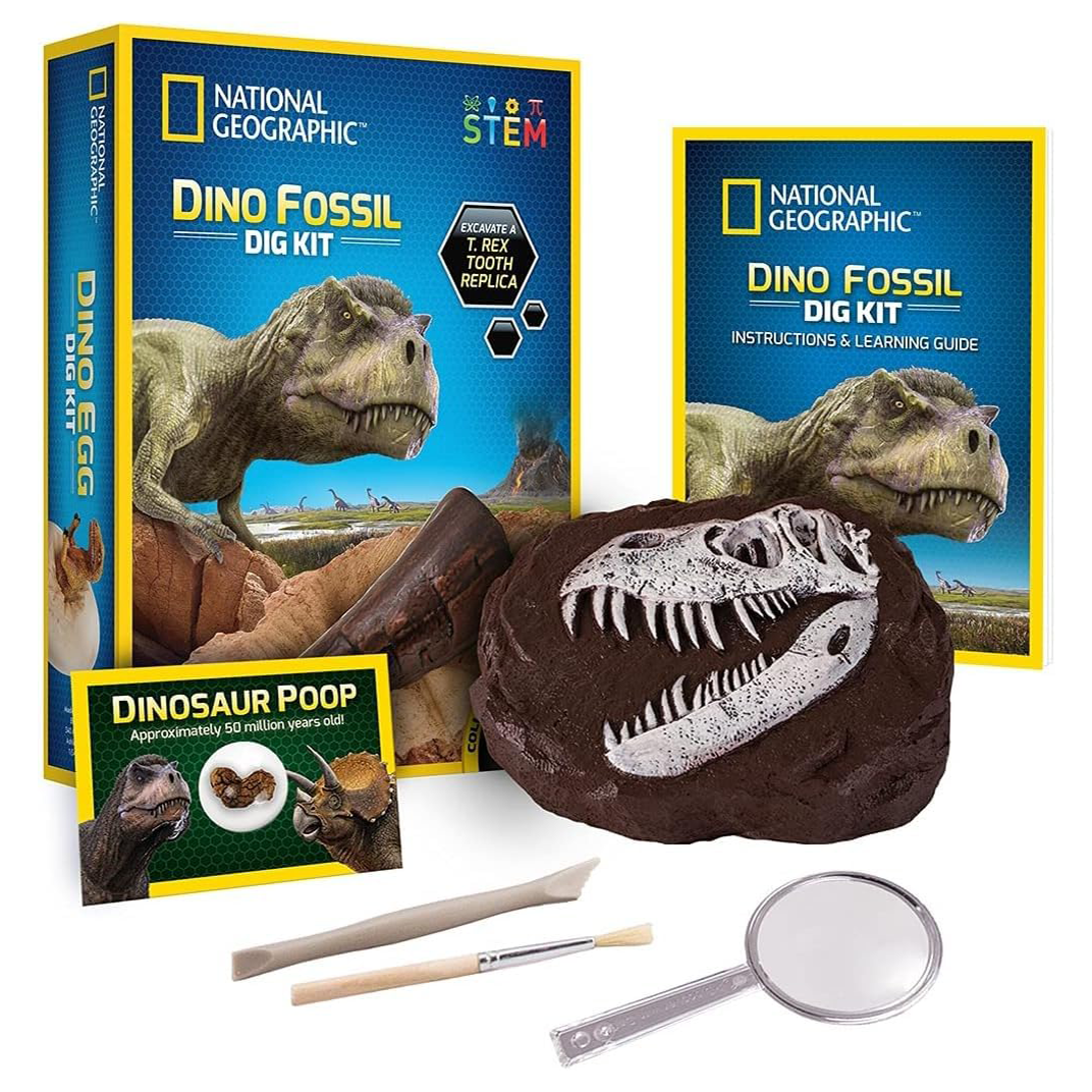 National Geographic Dinosaur Dig Kit